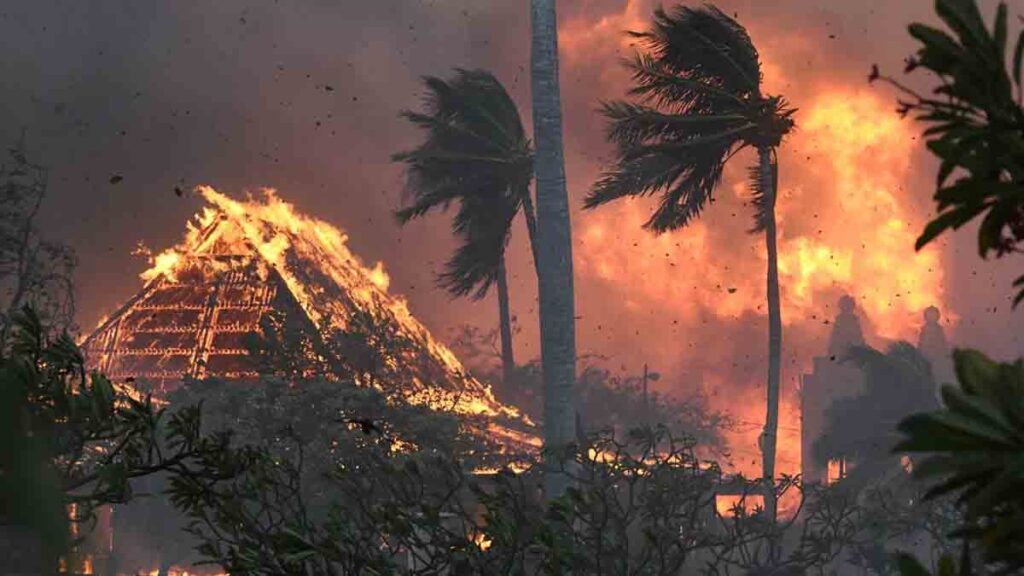 Tragedy Strikes As Maui Fires Become The Deadliest In Us In A Century Claiming 89 Lives